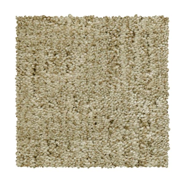 Home Decorators Collection 8 in. x 8 in. Pattern Carpet Sample - Corry Sound - Color Mysterious