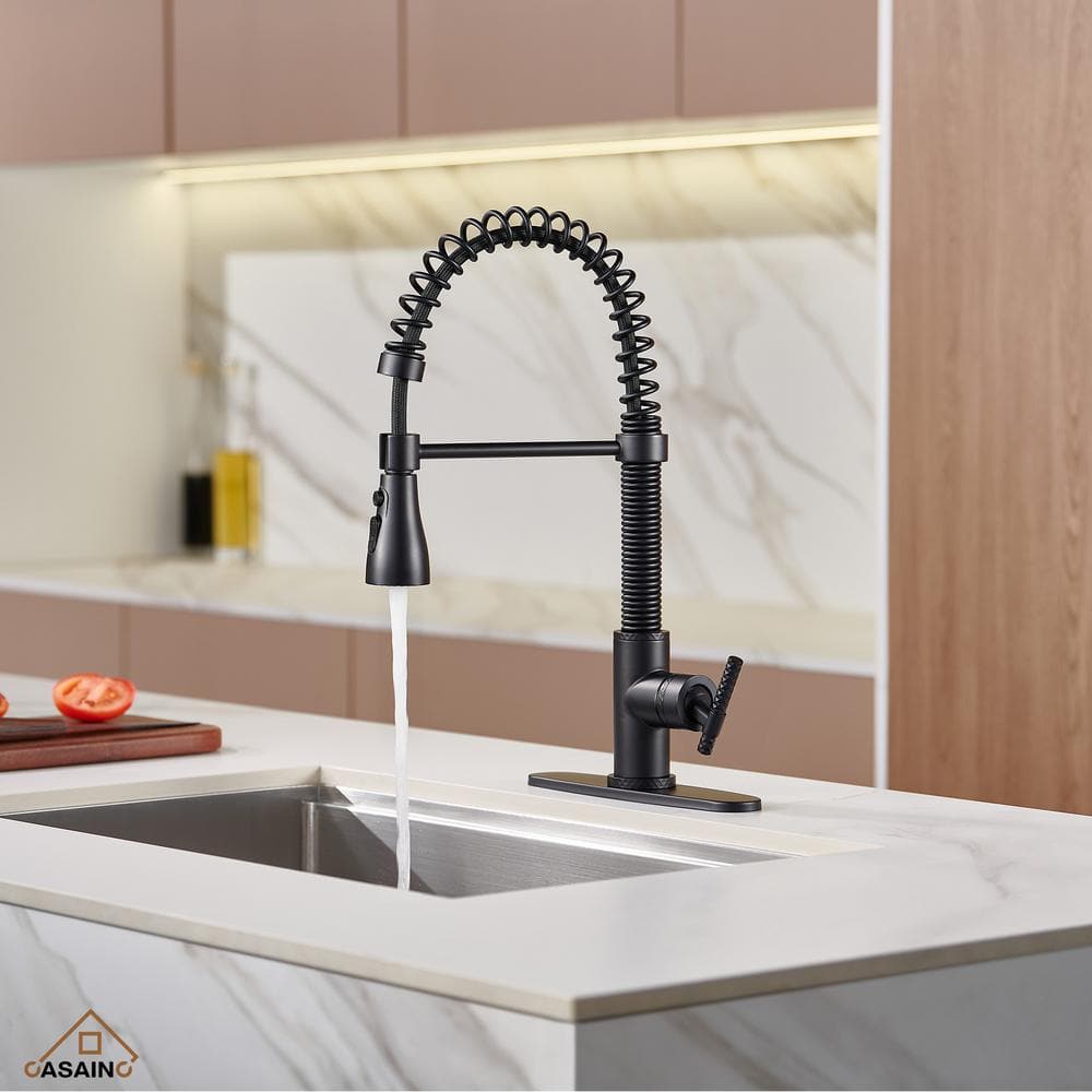 Matte Black Stainless Steel Pull-Out Kitchen Faucet