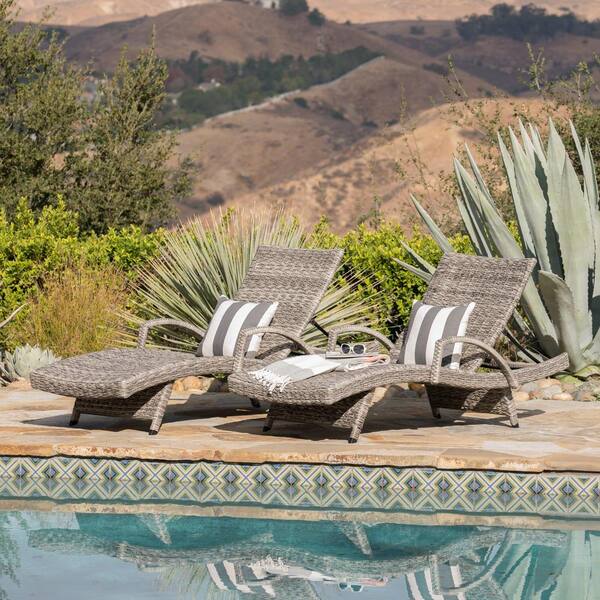 Noble House Gray 2-Piece Plastic Outdoor Chaise Lounge Set