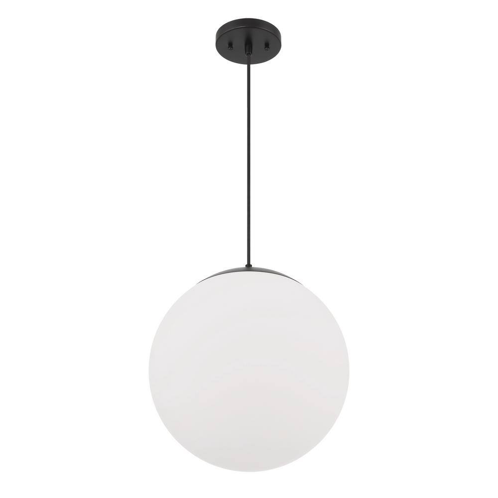 Modern Black Globe Pendant Light with Clear Glass Shade