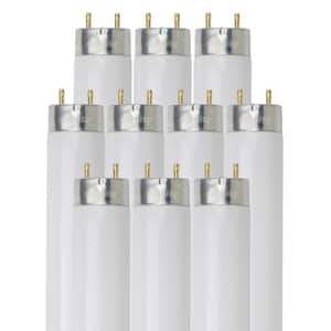 4 ft. 32-Watt Linear T8 Fluorescent Tube Light Bulbs, Daylight 5000K (10-Pack)