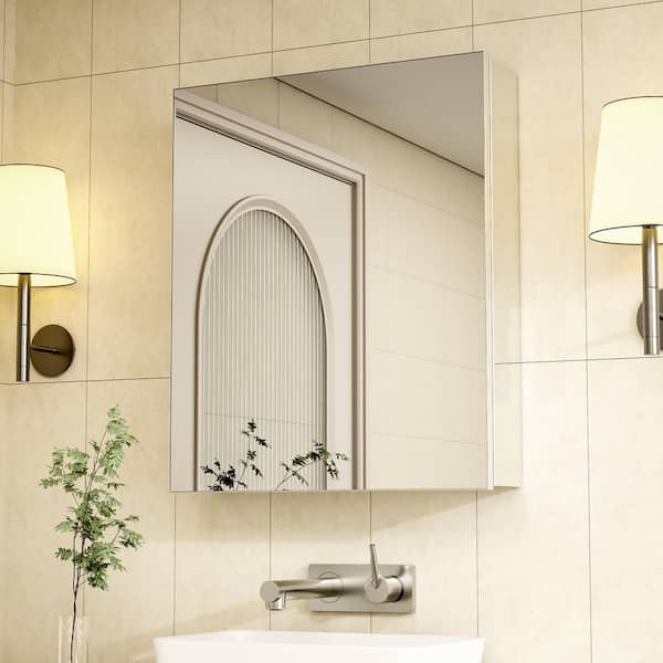 Blissi 20 in. W x 24 in. H Rectangular Aluminum Recessed/Surface Mount Medicine Cabinet with Mirror