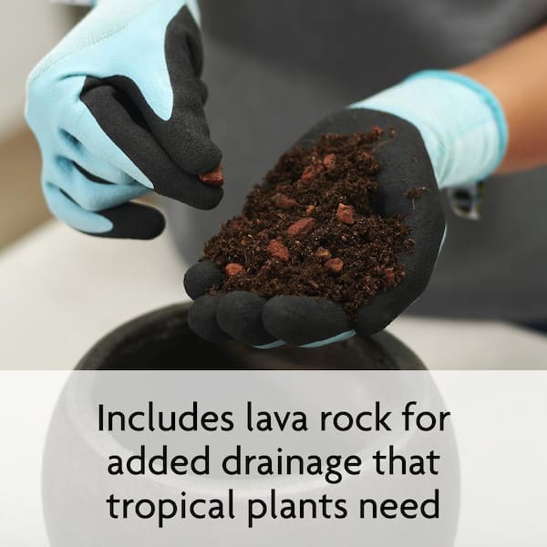 best soil mix (3L)6袋 Back to the Roots 6 qt. Organic All-Purpose Potting Mix Soil