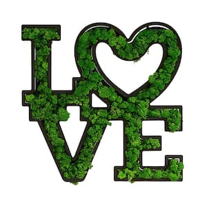 Anky Metal Green Wall Architectural Decor, Love Letter Art Moss Wall Decor