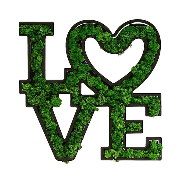 Miscool Anky Metal Green Wall Architectural Decor, Love Letter Art Moss Wall Decor