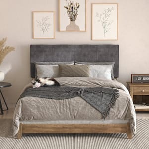 Darsh Knotty Oak Upholstered Queen Panel Bed with Headboard