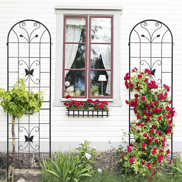 FIROMO 86.7 in. x 19.7 in. 2-Pack Metal Garden Trellis, Rustproof, Outdoor Trellis, Black