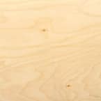 1/5 in. x 4 ft. x 8 ft. Hardwood Plywood Underlayment Specialty Panel