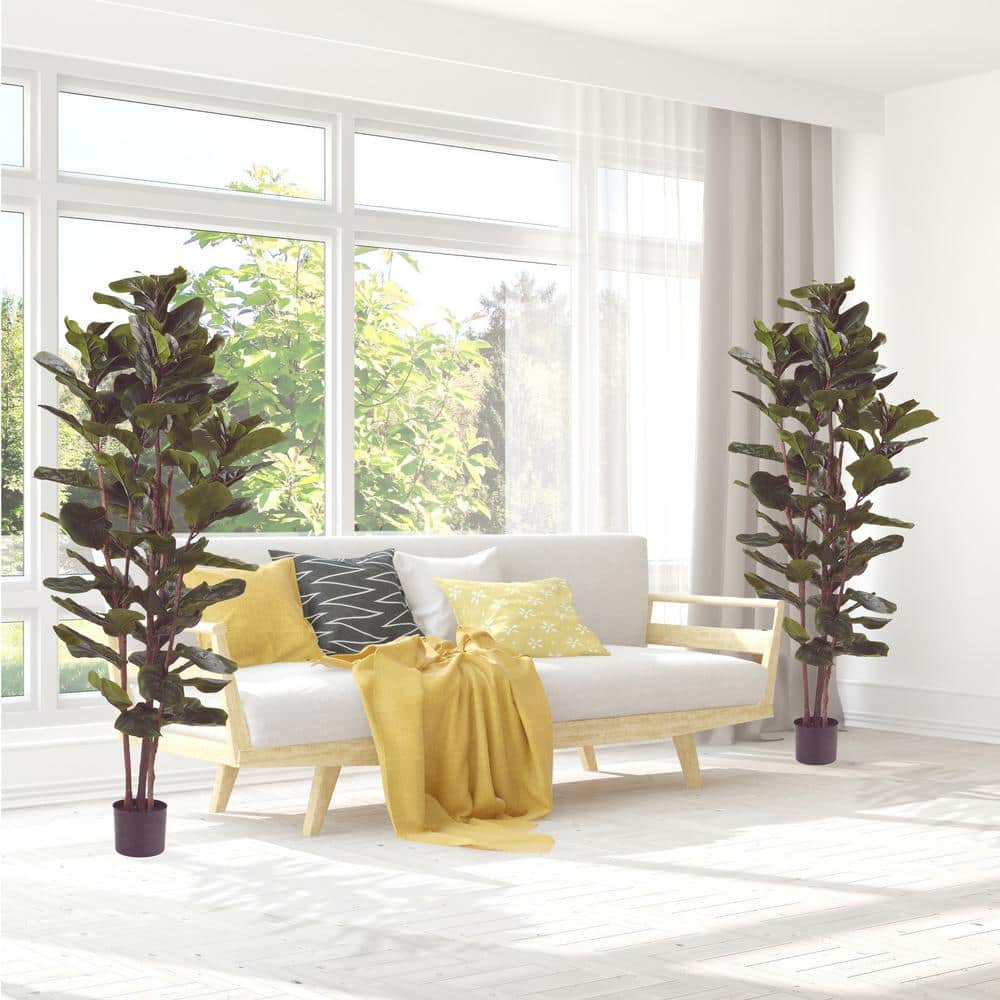 Lush Green 72" Fiddle Leaf Fig Topiary with Lights in Black Plastic Pot