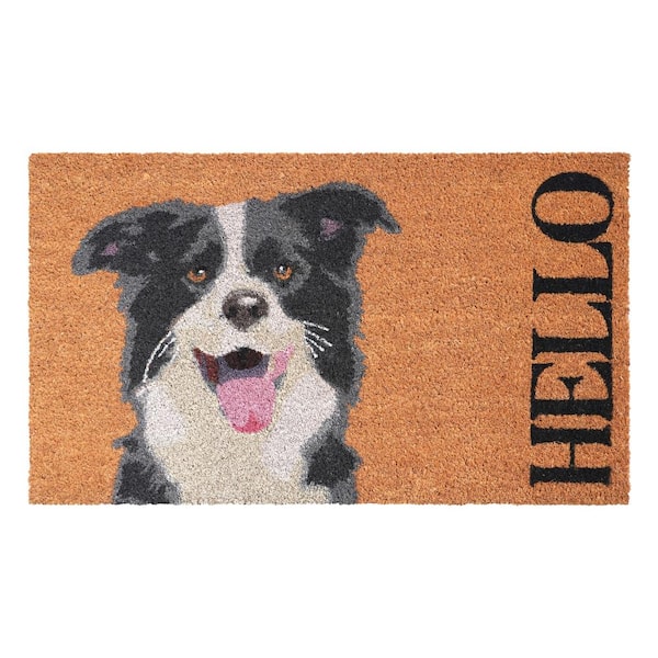 Calloway Mills Black/White Border Collie Multi-Colored 17 in. x 29 in. Indoor or Outdoor Doormat