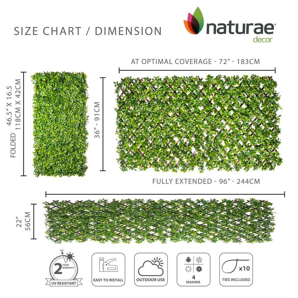 72" x 36" Green Vinyl Leaf Garden Trellis