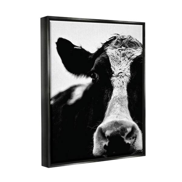  Jerry's Artarama 3/4 Core Floater 6 Pack Frames for