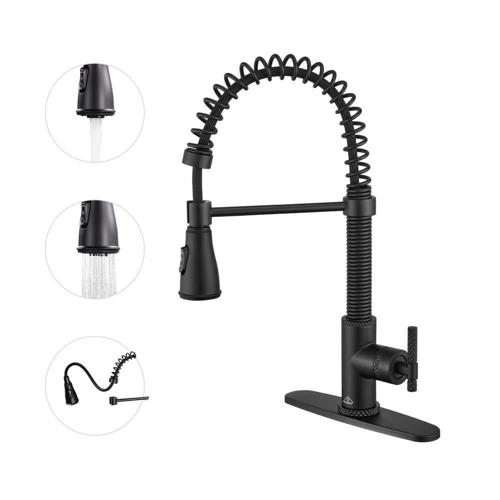 Matte Black Stainless Steel Pull Down Kitchen Faucet with Spray