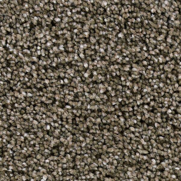 Beaulieu Carpet Sample - Greenlee II - In Color Cornerstone 8 in. x 8 in.