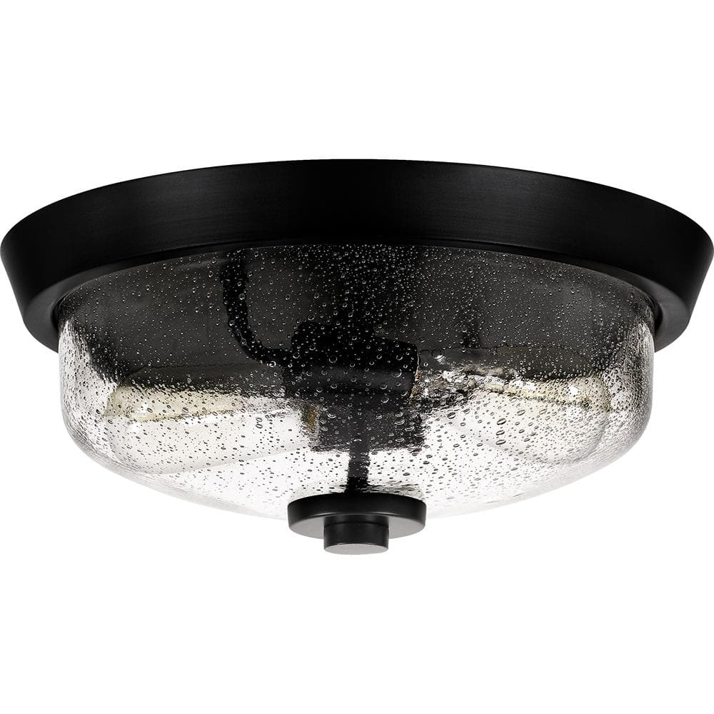 Radius Black Glass 2-Light Indoor/Outdoor Flush Mount Ceiling Light