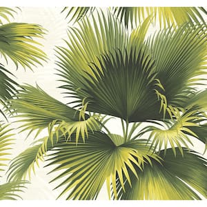 Endless Summer Green Palm Paper Strippable Roll Wallpaper (Covers 60.8 sq. ft.)