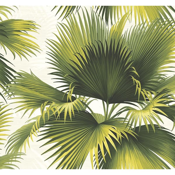 Kenneth James Endless Summer Green Palm Green Wallpaper Sample