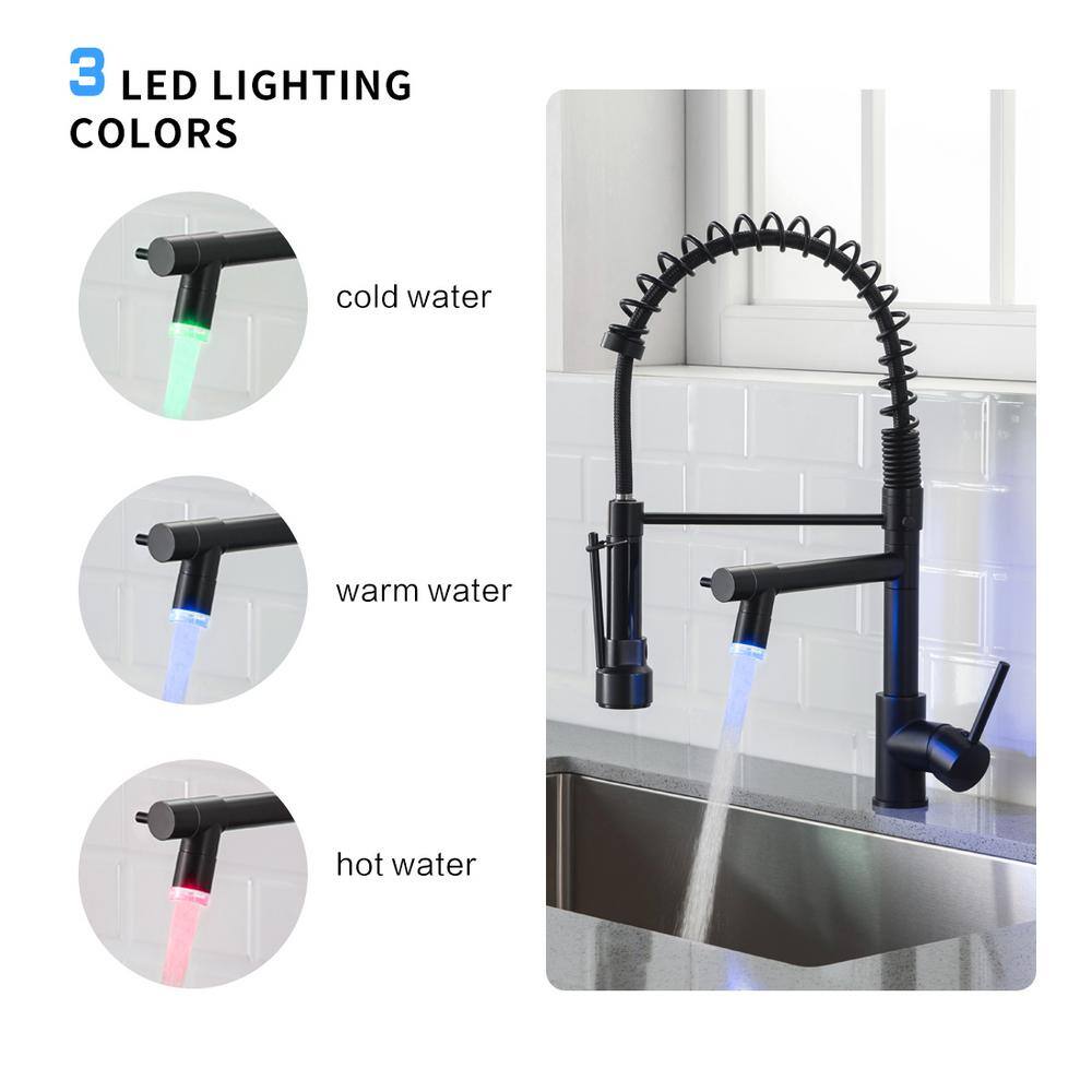 Matte Black Pull Down Kitchen Faucet with Pull-out Spray