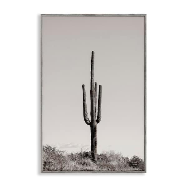 Stupell Industries Clear Afternoon Cactus by Nathan Larson Gray Framed Nature Giclee Art Print 24 in. x 16 in.