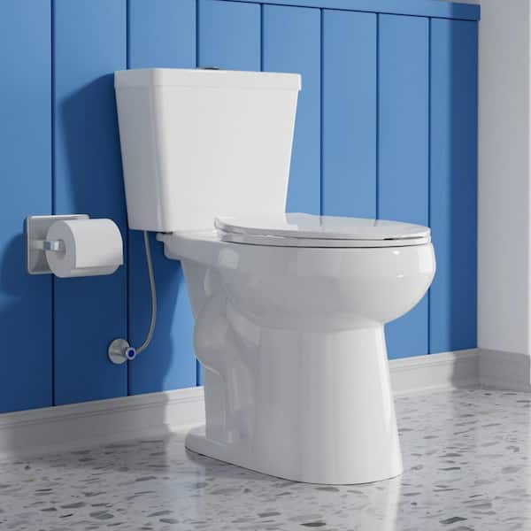 19 in. ADA Height Two-Piece Toilet 1.0/1.28 GPF Dual Flush Round Toilet in White Map Flush 1000g with Soft-Close Seat