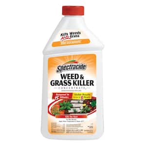 Weed and Grass Killer 32 oz. Concentrate