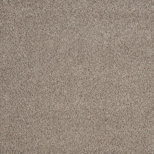 Northern Hills I Hills Top Brown 39 oz. Blend Texture Installed Carpet