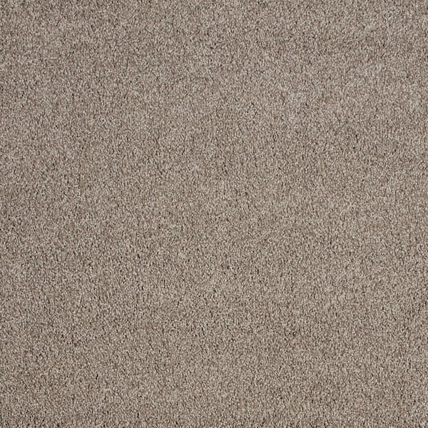 Lifeproof with Petproof Technology Northern Hills I Hills Top Brown 39 oz. Blend Texture Installed Carpet