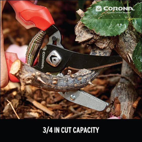 https://images.thdstatic.com/productImages/016e6aaa-81b1-4cb8-8735-5ced8e154c24/svn/corona-pruning-shears-ap-3334-a0_600.jpg