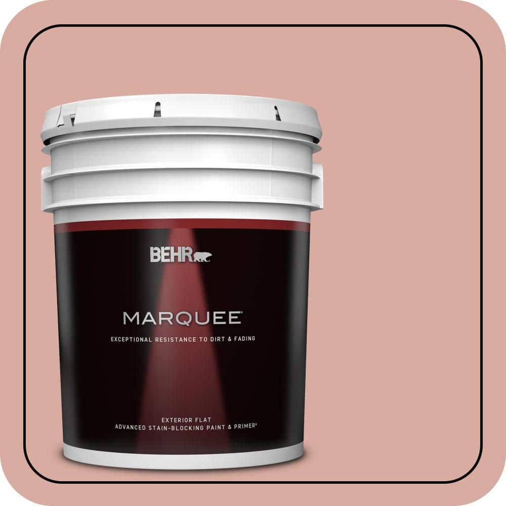 5 gal. #T17-06 Everythings Rosy Flat Exterior Paint & Primer price history on PriceWatchPro