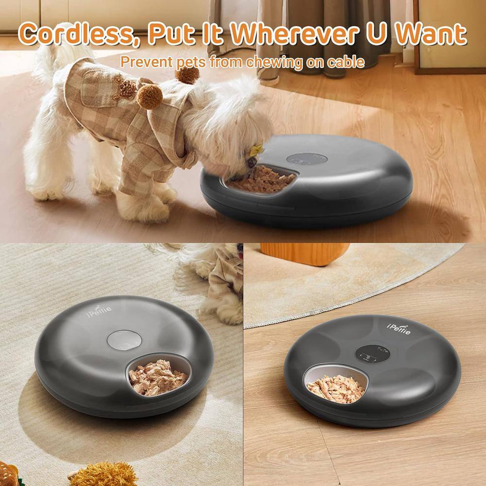 Black Cordless Automatic Pet Feeder with Ice Packs