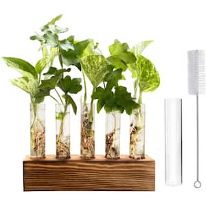 Wooden Stand with 5 Glass Tubes, Desktop Plant Terrarium for Home Office Garden Decoration