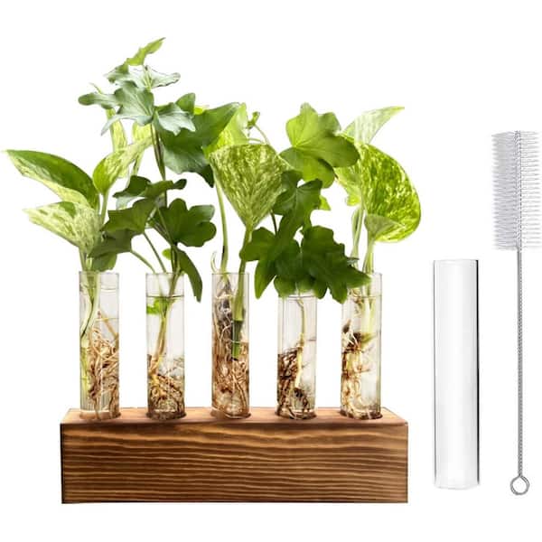 EVEAGE Wooden Stand with 5 Glass Tubes, Desktop Plant Terrarium for Home Office Garden Decoration