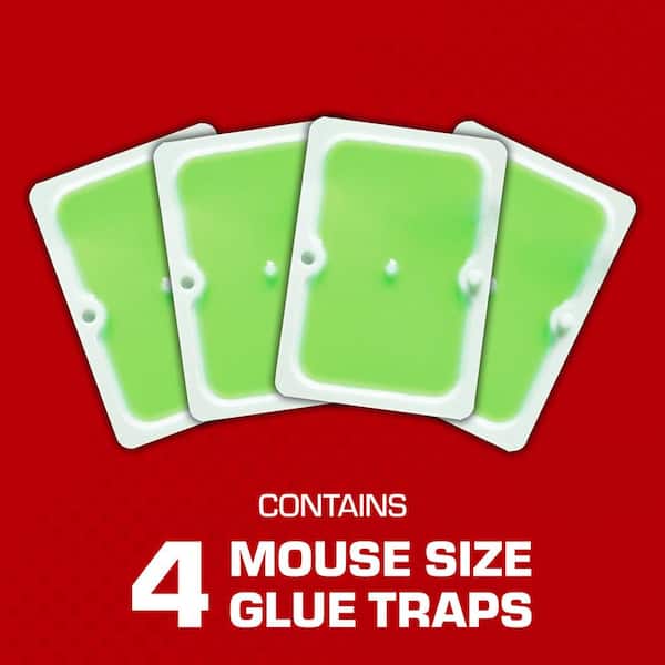 TOMCAT - Super Hold Glue Traps Mouse Size for Mice, Cockroaches, Spiders, and Scorpions, Ready-To-Use, 4 Traps