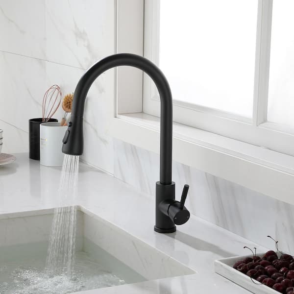 Stainless Steel Kitchen Sink Faucet with Pull Down Sprayer with Deck Plate in Matte Black (Deckplate Included)