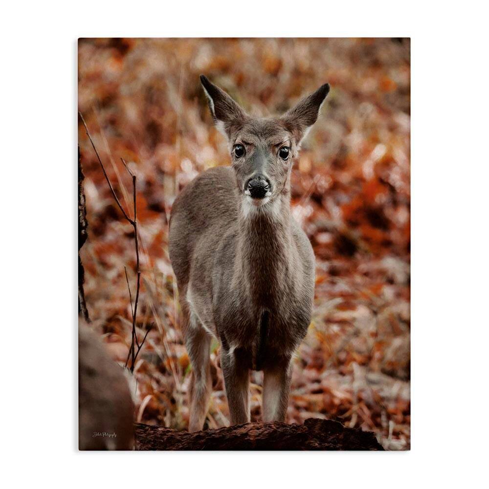 Fawn in Autumn Nature by Dakota Diener Unframed Graphic Animal Art Print 40 in. x 30 in. price history on PriceWatchPro