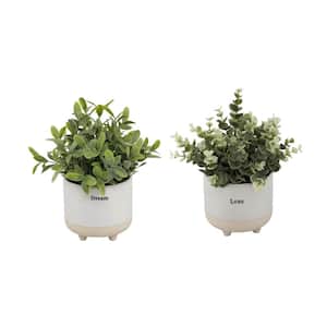 9.5 in. H Faux Eucalyptus with "Love" Text and Tea Leaf with "Dream" Text in 4.75 in. Ceramic Footed Planter,Set of 2