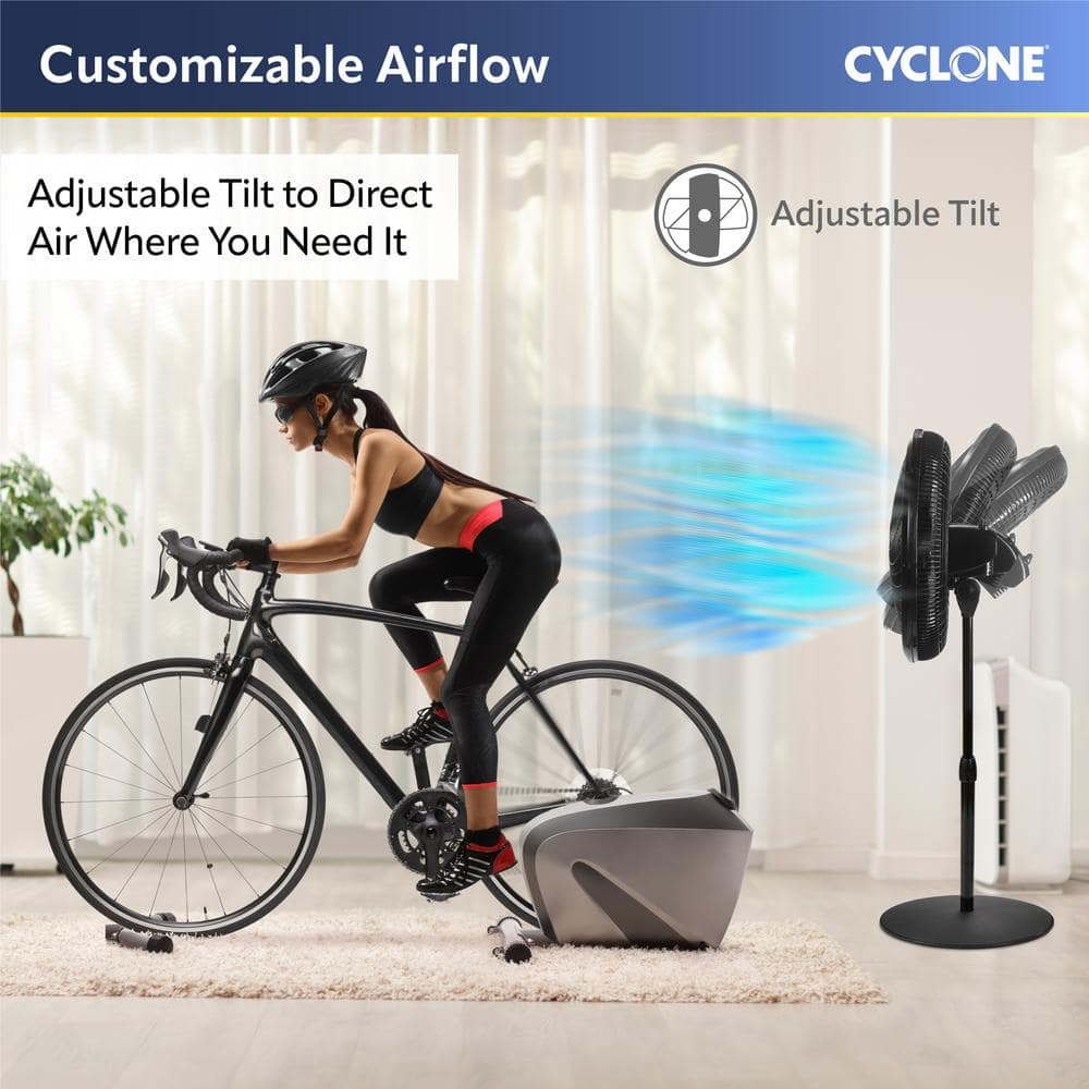 Black Adjustable Height Remote Controlled Oscillating Pedestal Fan