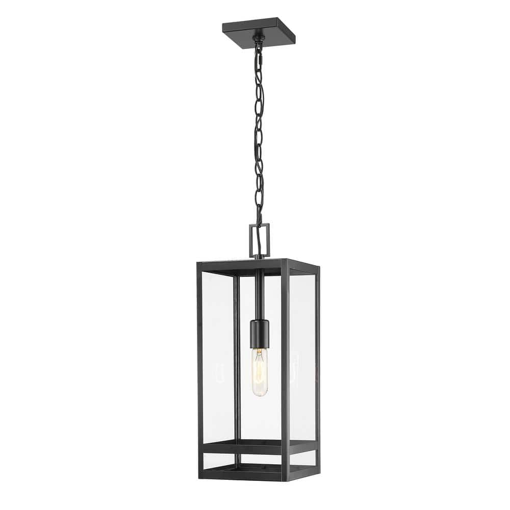 Nuri 1-Light Black Outdoor Chandelier with Clear Glass Shade