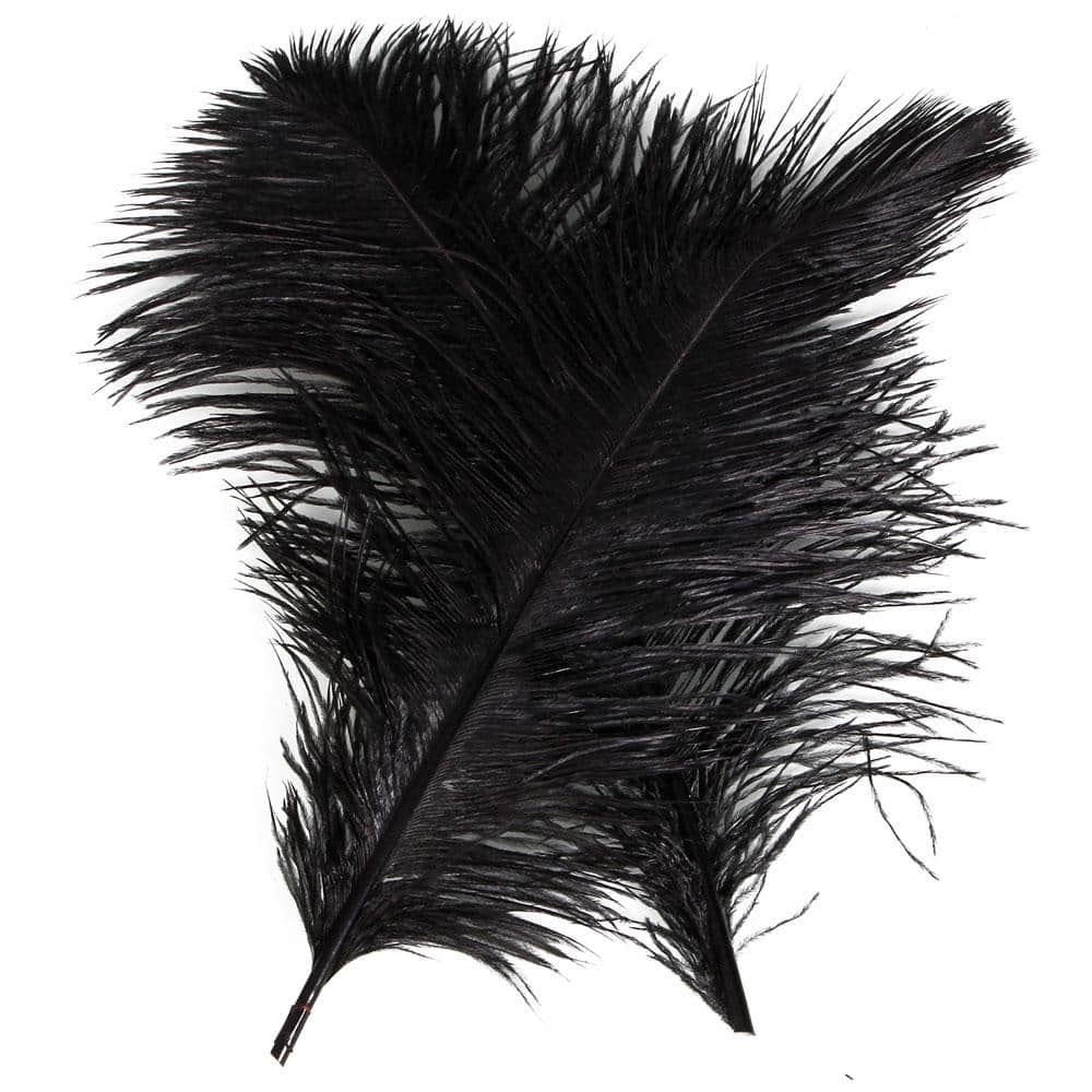 Black Ostrich Feather (10-Piece)