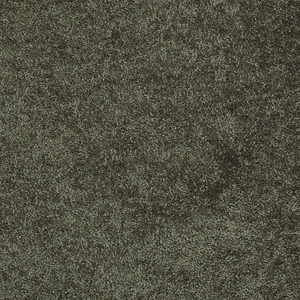 8 in. x 8 in. Texture Carpet Sample - Palmdale I - Color Forest Path price history on PriceWatchPro
