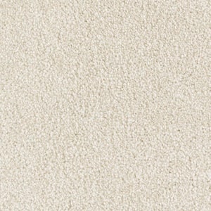 8 in. x 8 in. Texture Carpet Sample - Silver Mane I -Color Berkshire