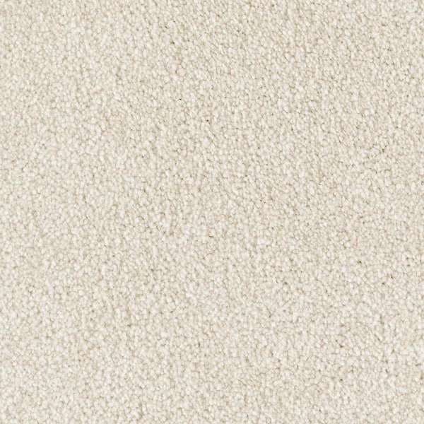 Lifeproof with Petproof Technology 8 in. x 8 in. Texture Carpet Sample - Silver Mane I -Color Berkshire