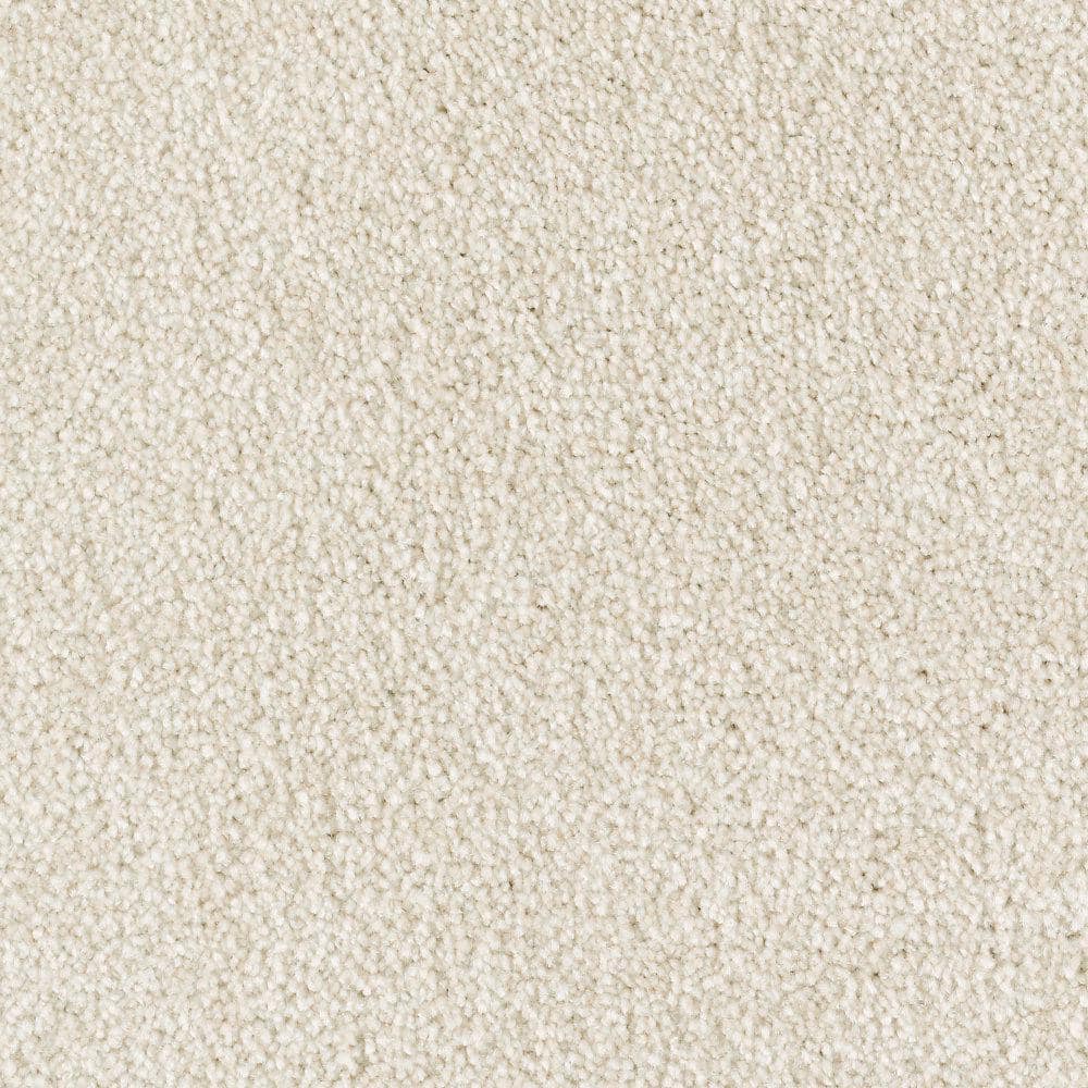 8 in. x 8 in. Texture Carpet Sample - Silver Mane II -Color Berkshire price history on PriceWatchPro