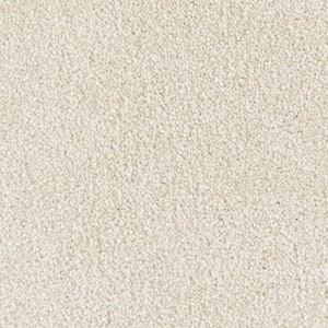 8 in. x 8 in. Texture Carpet Sample - Silver Mane II -Color Berkshire