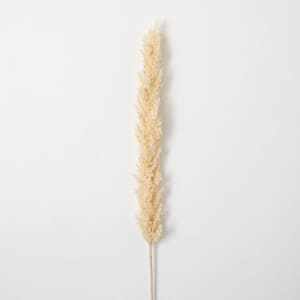 Artificial 43 in. Faux Dried Tall Ivory Plume Grass