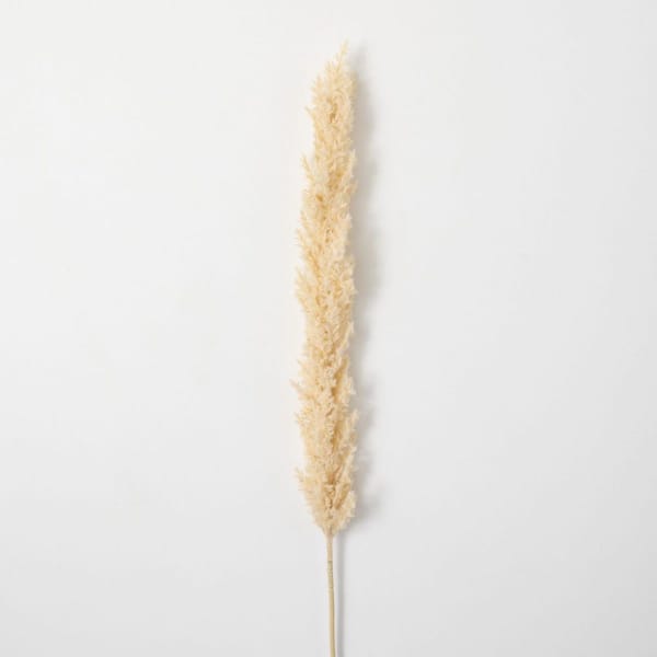 SULLIVANS Artificial 43 in. Faux Dried Tall Ivory Plume Grass