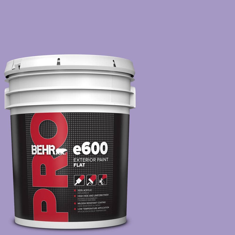 5 gal. #640B-5 Bloomsberry Flat Exterior Paint price history on PriceWatchPro
