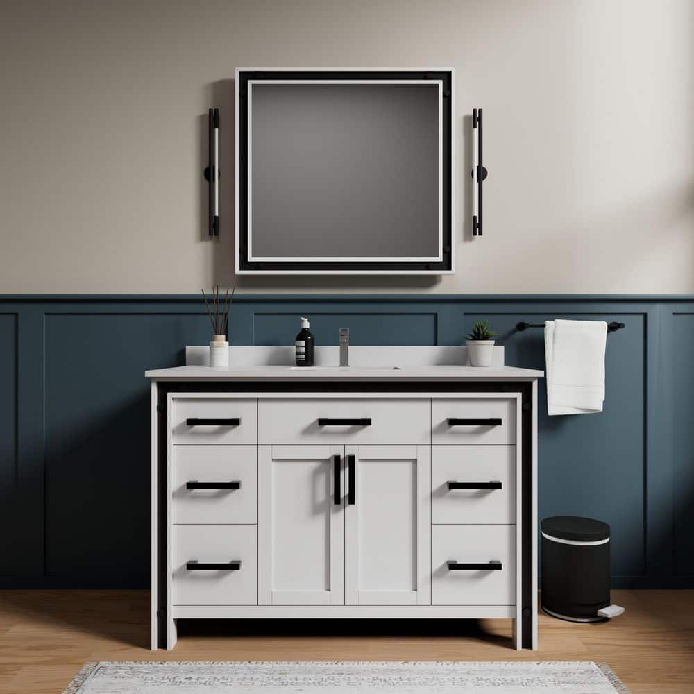 Ziva 48 in W x 22 in D White Bath Vanity, White Quartz Top and Faucet Set price history on PriceWatchPro