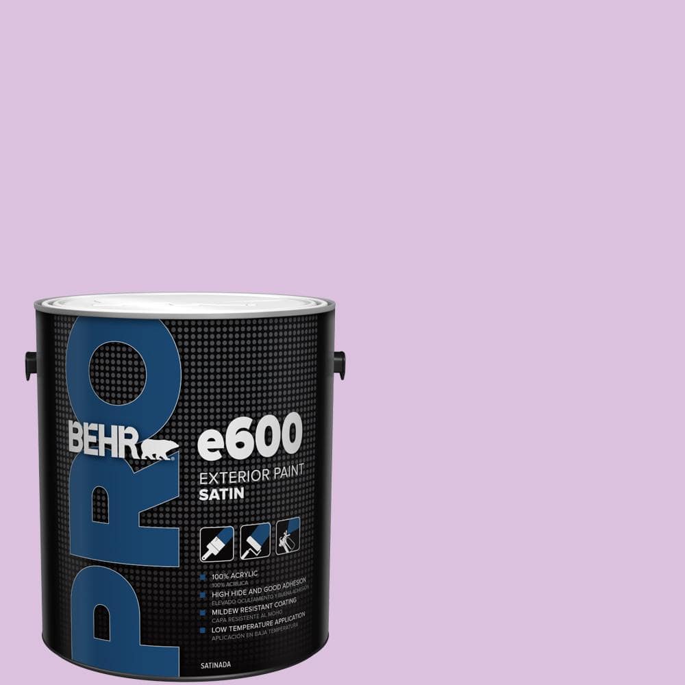 1 gal. #P100-3 Epiphany Satin Exterior Paint price history on PriceWatchPro