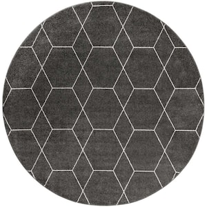 Trellis Frieze Dark Gray/Ivory 8 ft. x 8 ft. Round Geometric Area Rug